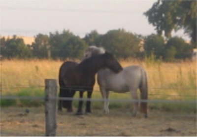 Jacky+Maja gro