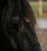 Jacky Auge