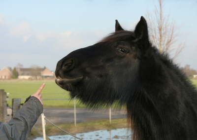 Jacky und der Finger 2